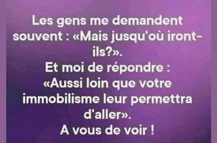 Noëlie la Lupa tweet media