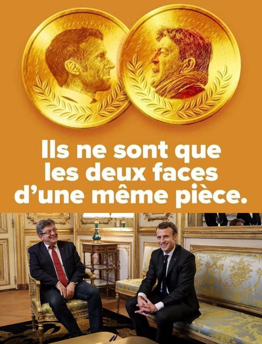 Noëlie la Lupa tweet media