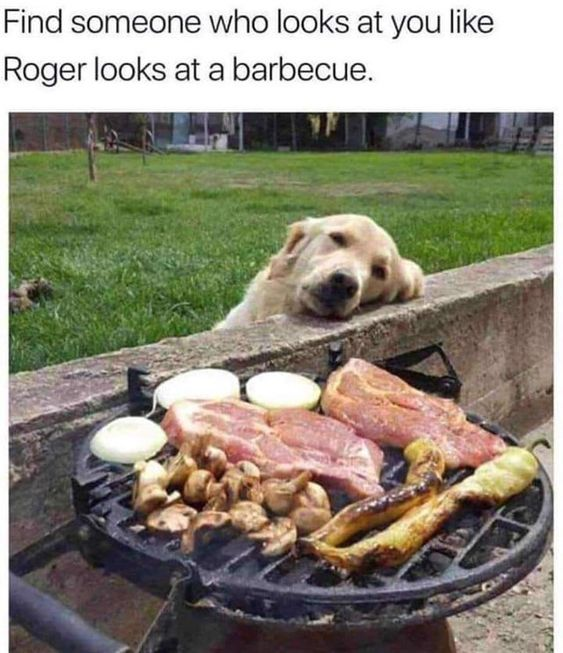 WholesomeMeme's tweet photo. https://t.co/F6bxT2jjeZ