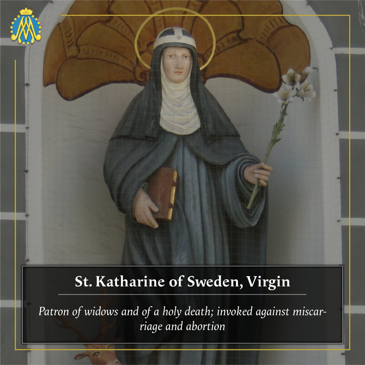 Under the Mantle tweet media