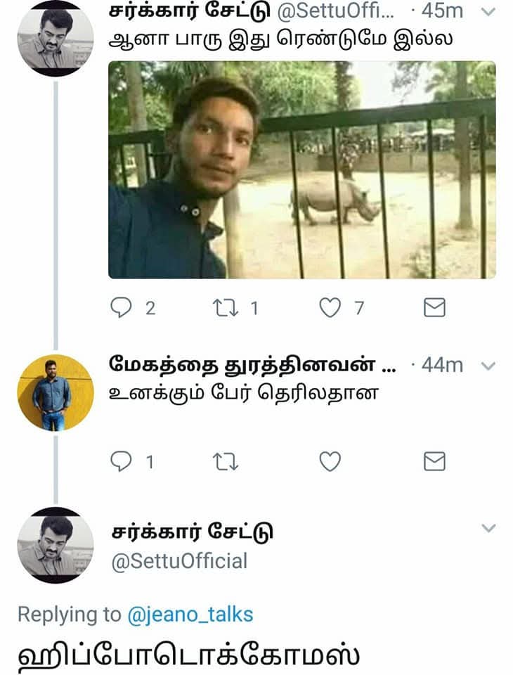 🌟𝕄𝔸ℕ𝕆𝕁🌟 tweet media