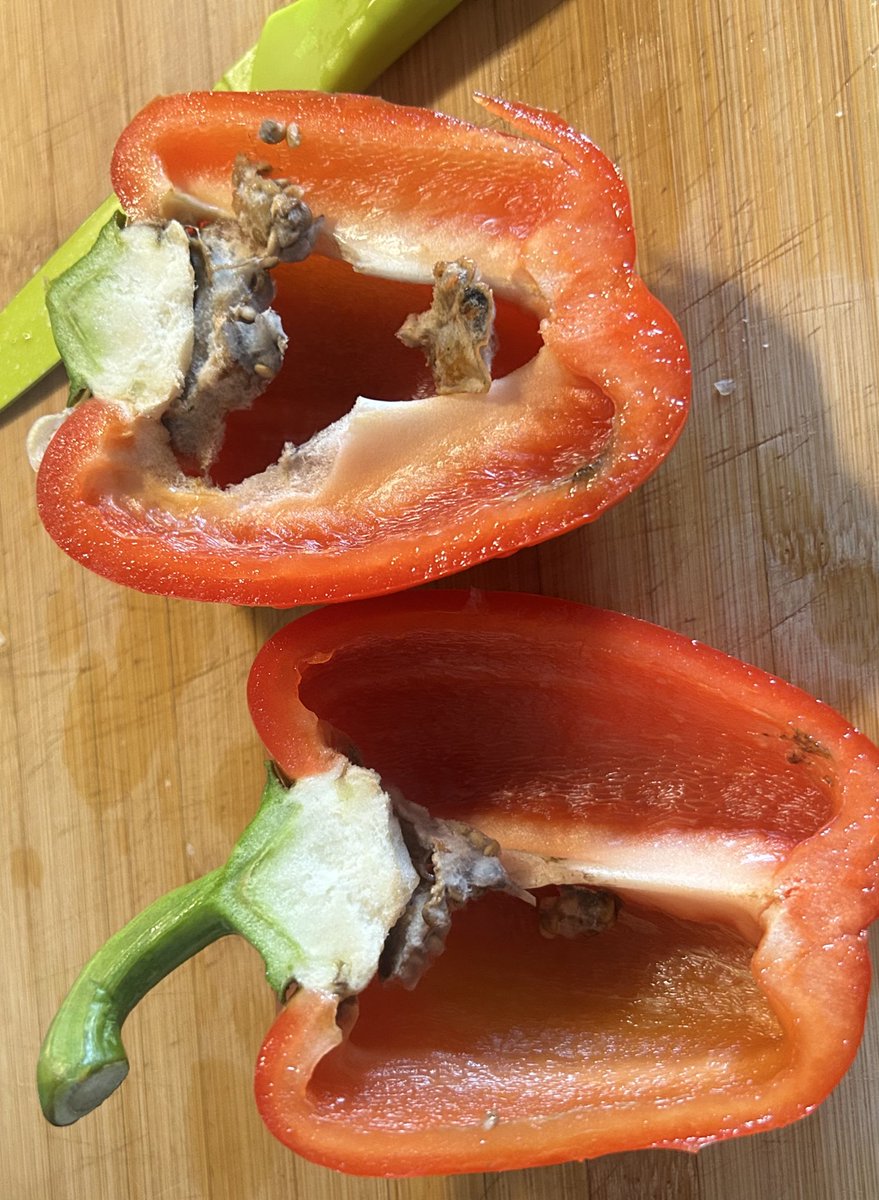 neøn :) tweet media