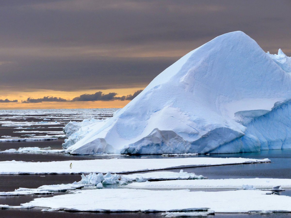 Nicholas Coghlan tweet media