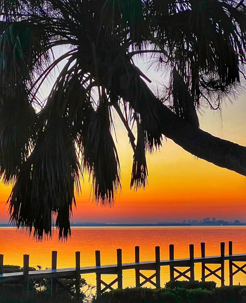 Kristen 🇺🇸 tweet media