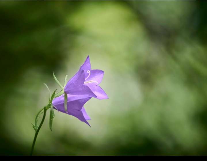 ghost cribo 👻 tweet media