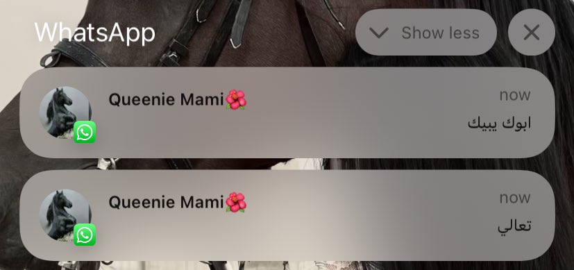 أمــ tweet media