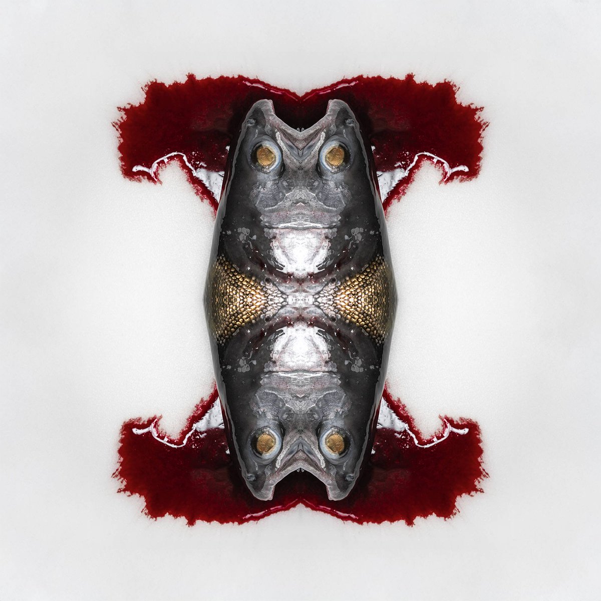 Tito Greisten ✨BC tweet media