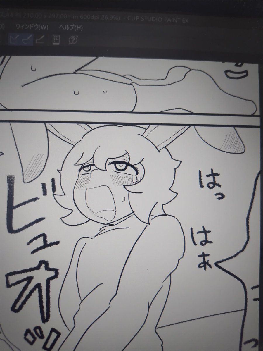 キンバル犬統領 tweet media