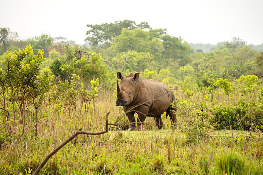 Wholesome Side of 𝕏 tweet media