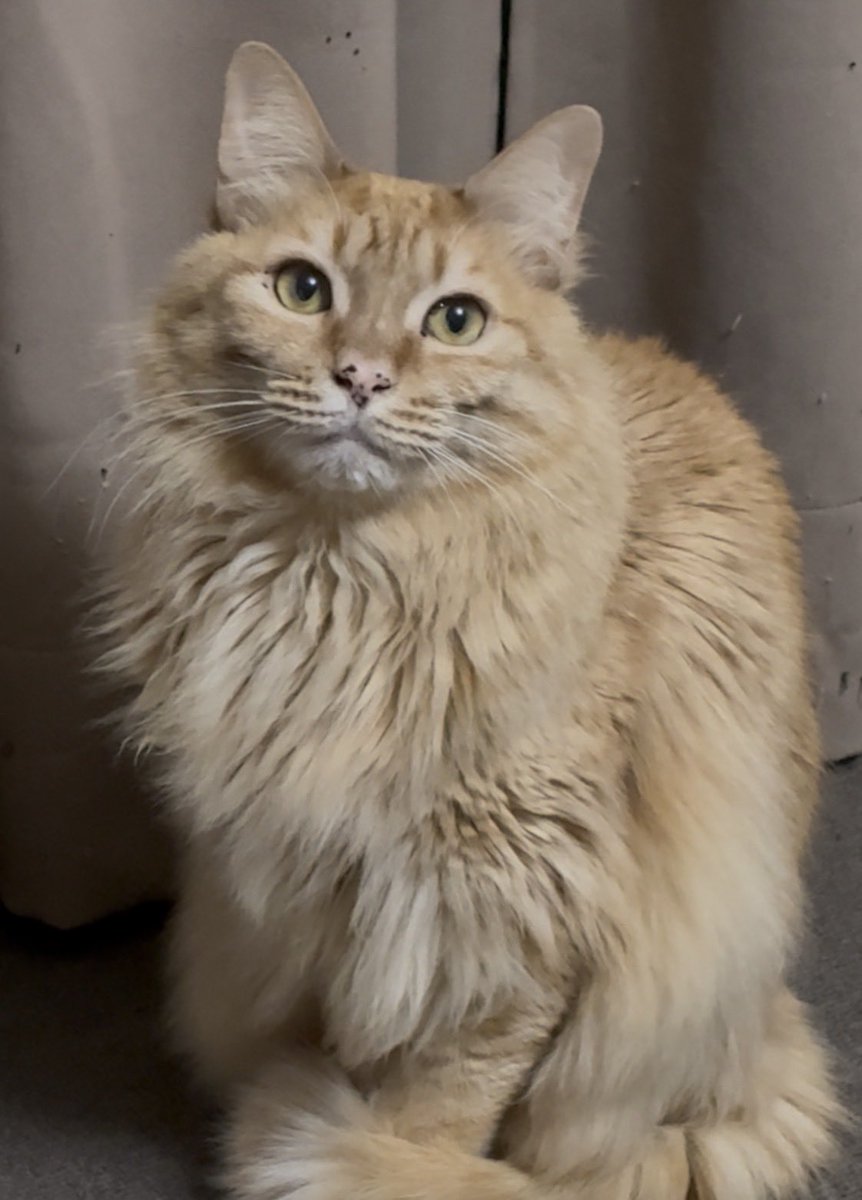 久々に　ちゃんと撮ったマロちん