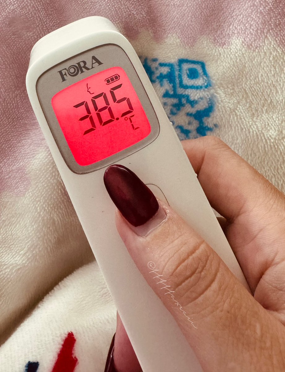 小狐狸 tweet media