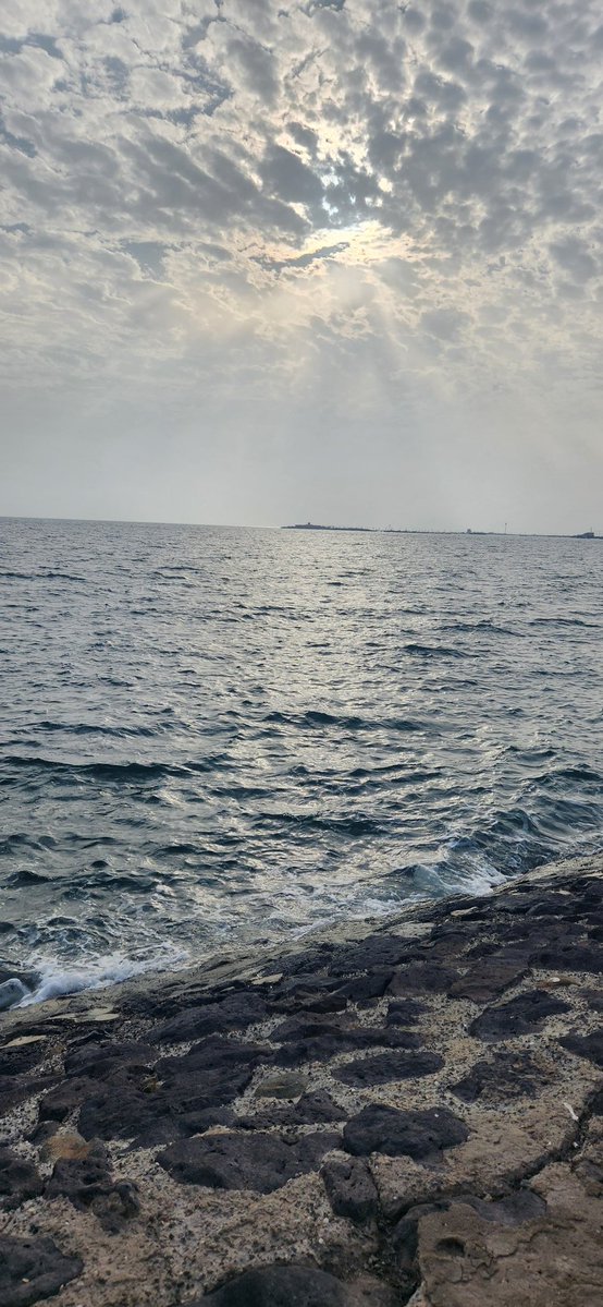 زهرة جازان 🇸🇦 tweet media