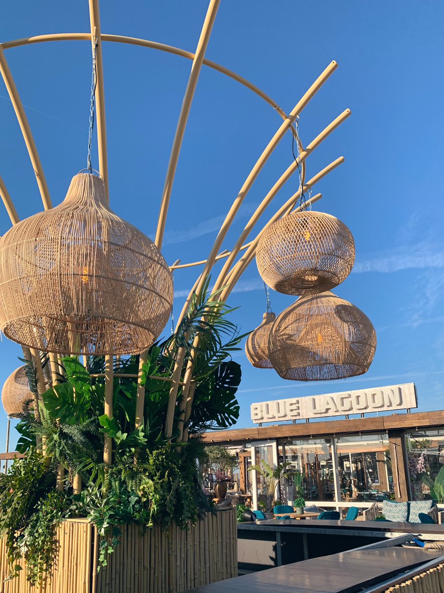 Denise Miltenburg tweet media