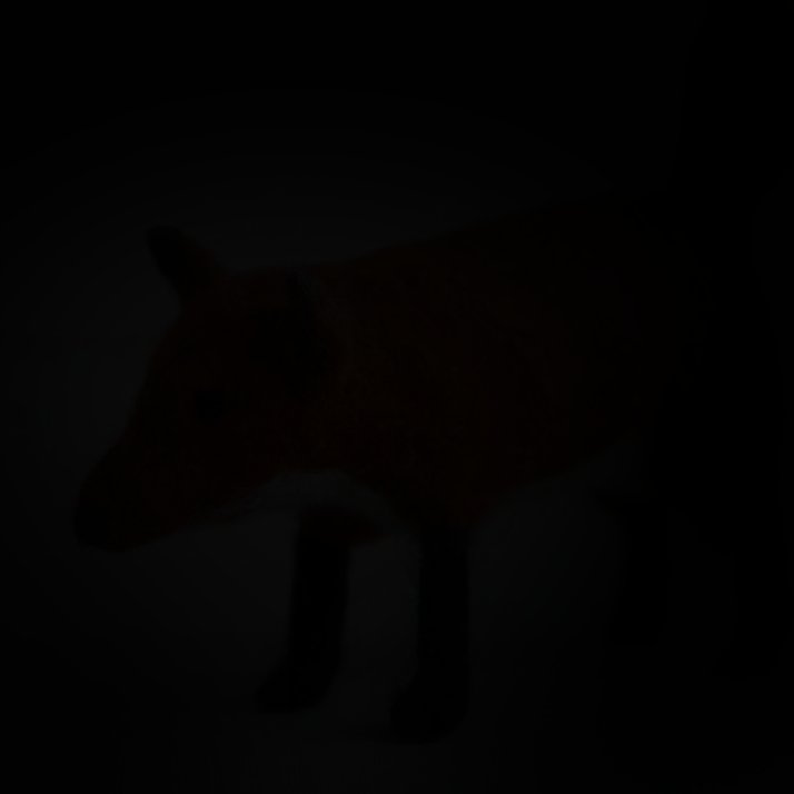 Vitay The Gay 🎗 tweet media