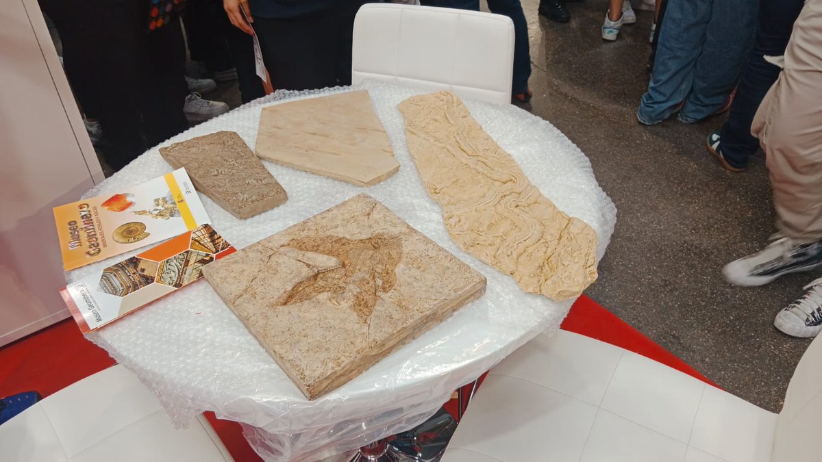 Instituto Geológico y Minero de España tweet media