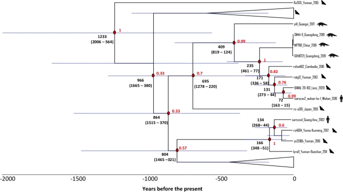 Nick Longrich tweet media