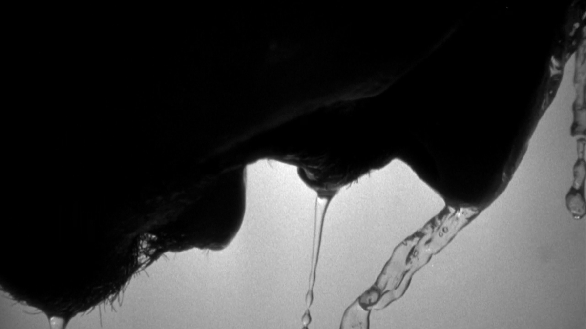 la cuarta pared tweet media