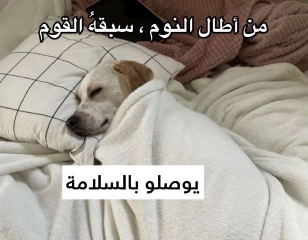 〽️ كُعيب | PEAKS tweet media