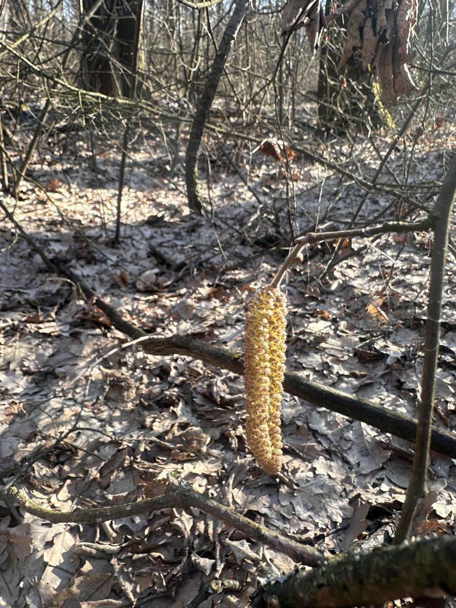 молодша Кажант tweet media