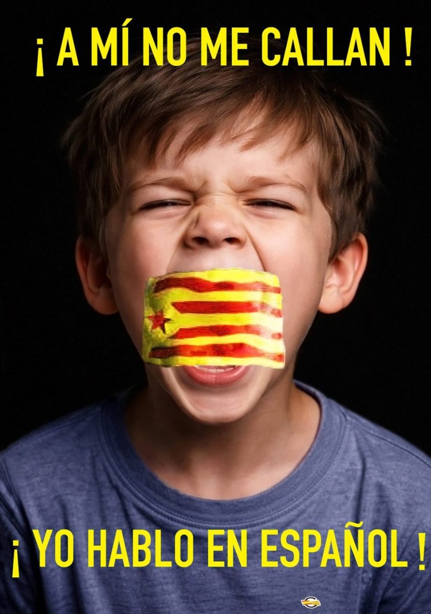 Isabel Lázaro tweet media