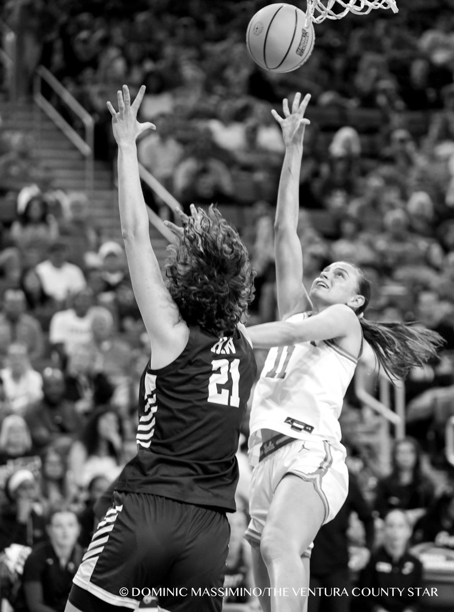 Dominic Massimino tweet media