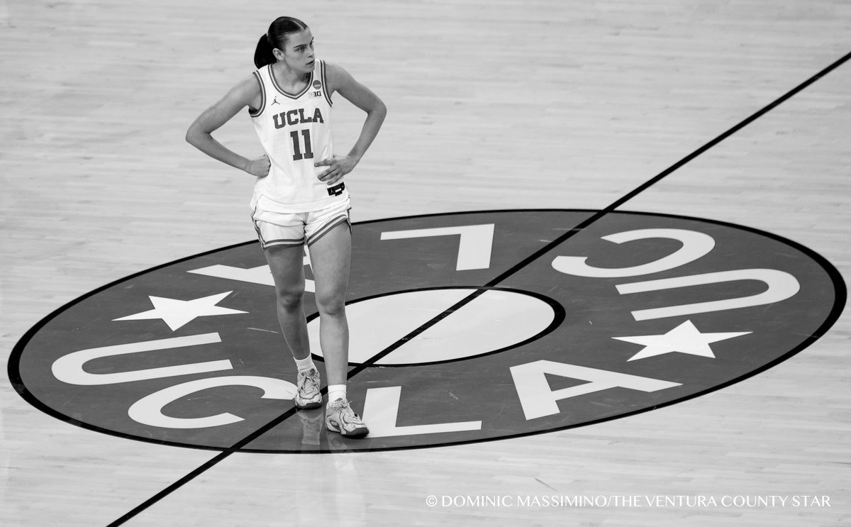 Dominic Massimino tweet media