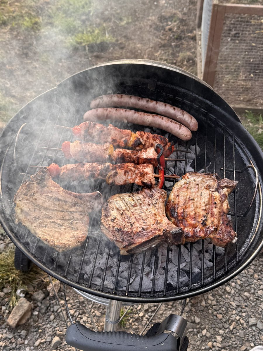 Tentation145L's tweet photo. Entrée : salade de pâtes + mayo maison… déjà un scandale 😒
Plat : barbecue XXL 🍗🔥
Côtes de porc thym citron, dinde à l’indienne, chipos, merguez + spaghettis 🍝
Je confirme : ils abusent clairement 😏
#TeamPoilus #BarbecueTime #DimancheGourmand #VieDeChien https://t.co/2kc2KISLd0