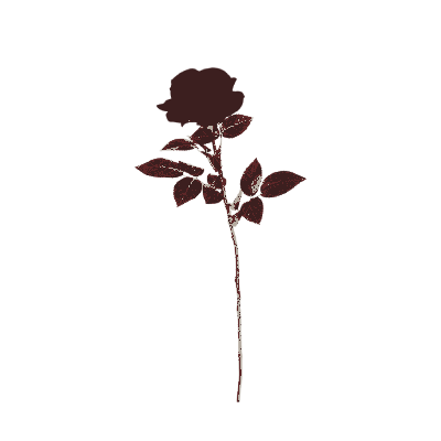 ᅠ ᅠ 𝕷𝖮𝖱𝖣 𝗈𝖿 𝕾𝖠𝖫𝖵𝖠𝖳𝖨𝖮𝖭. tweet media