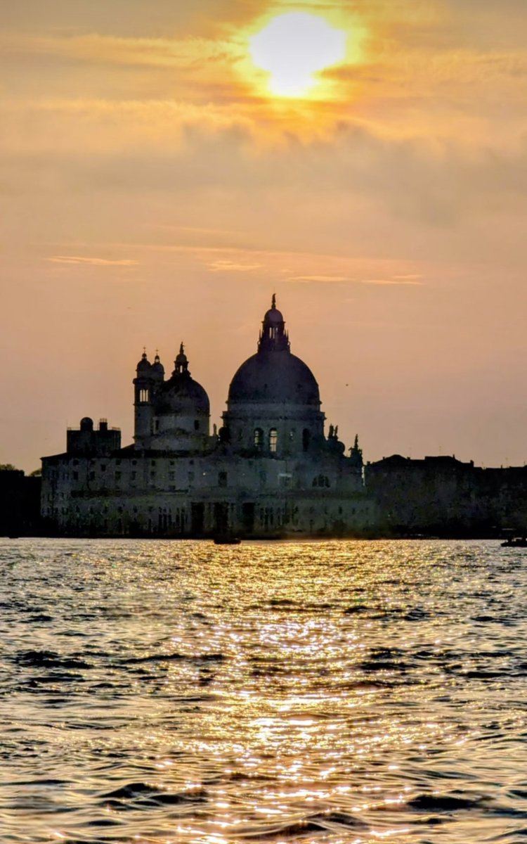 Monica 🍀⚘️🌍📚🐞🎧 tweet media