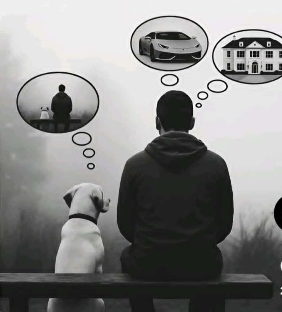 Franz Branntwein™ 🍀 tweet media