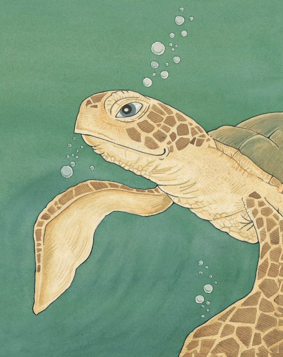 stephanietara's tweet image. 💞I'M HERE MAMA, here with you, I knew I'd find you, Moon did too!💞

📚 Amazon.com/dp/0989433404

#GreenSeaTurtle #SaveTurtles #SeaTurtleConservation #SaveTheTurtles #SeaTurtleRescue #TurtleRescue #SaveOurOcean #SundayVibes #motherhood #Moms #kids #toddlers #babies