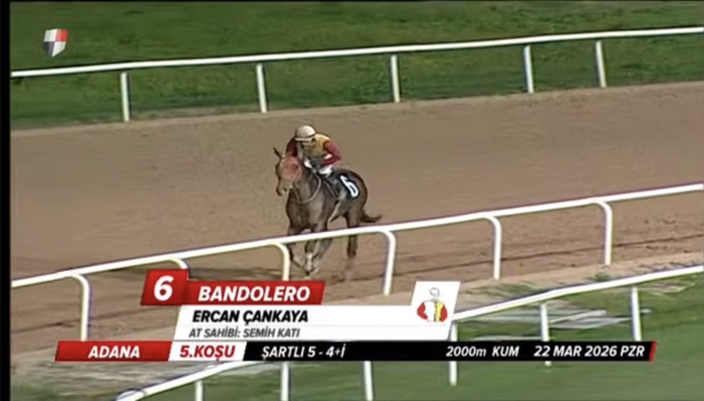 semih katı tweet media