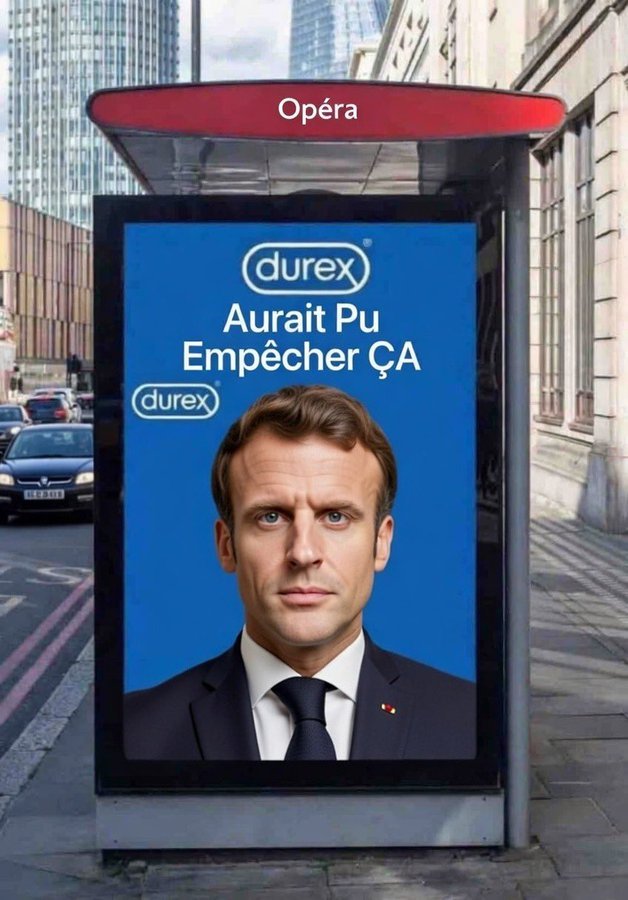 Noëlie la Lupa tweet media