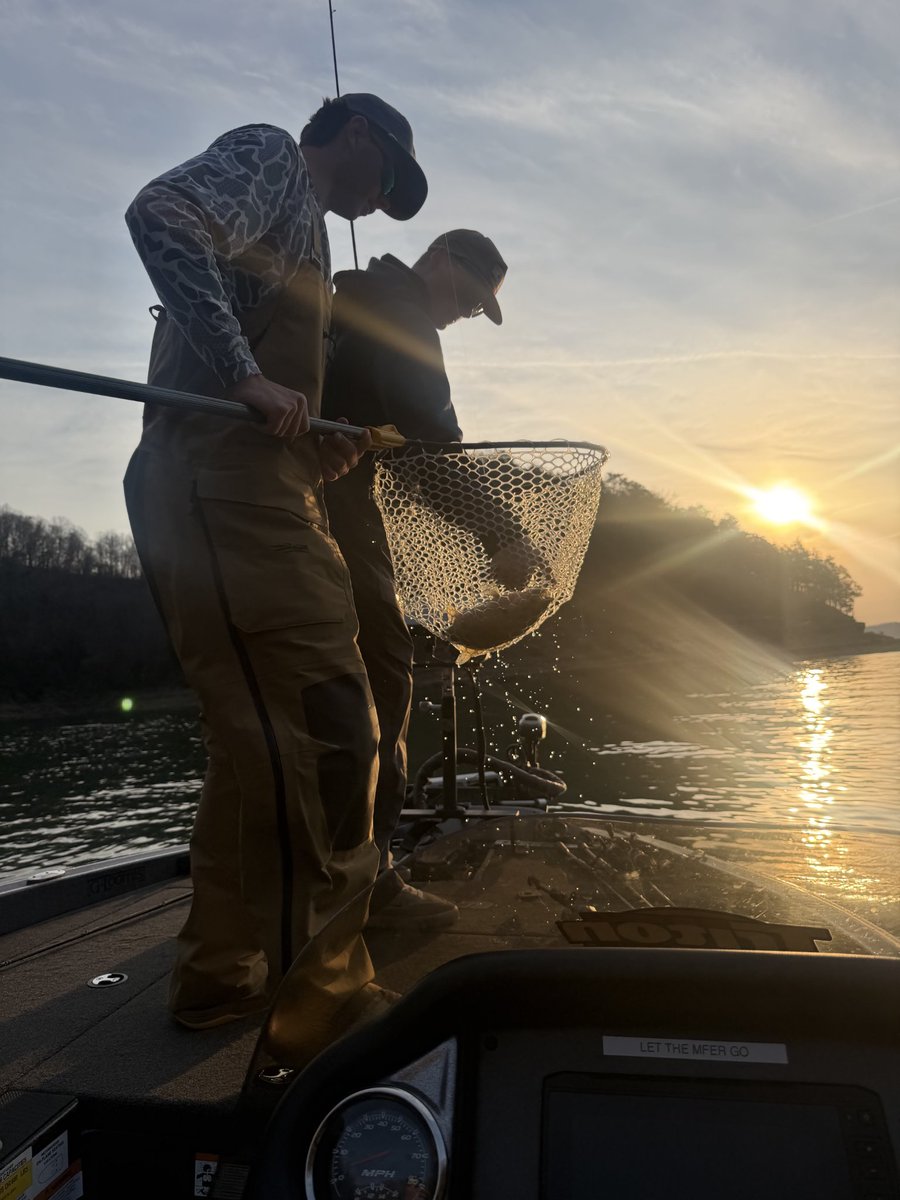 Tiger Bass Fishing tweet media