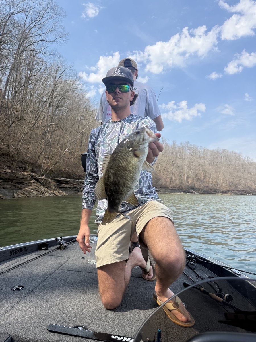 Tiger Bass Fishing tweet media