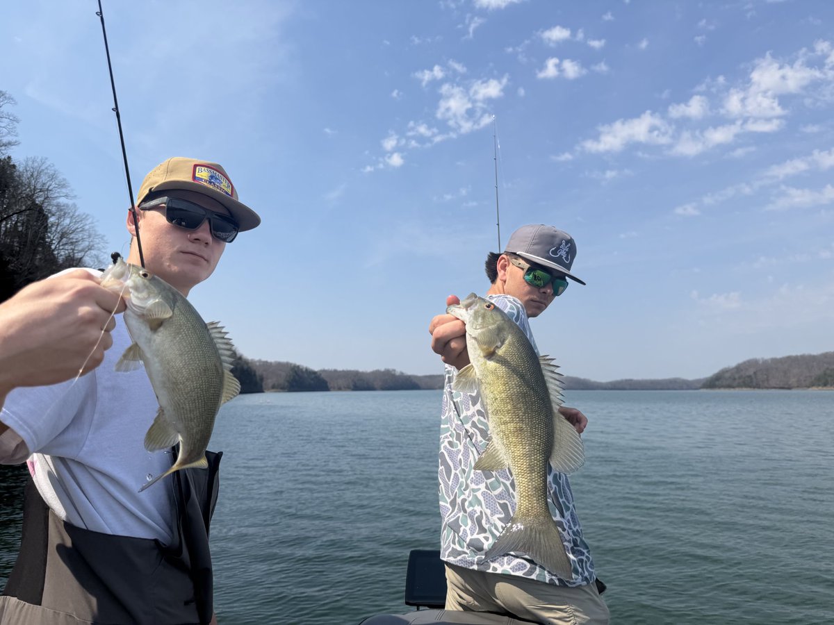 Tiger Bass Fishing tweet media