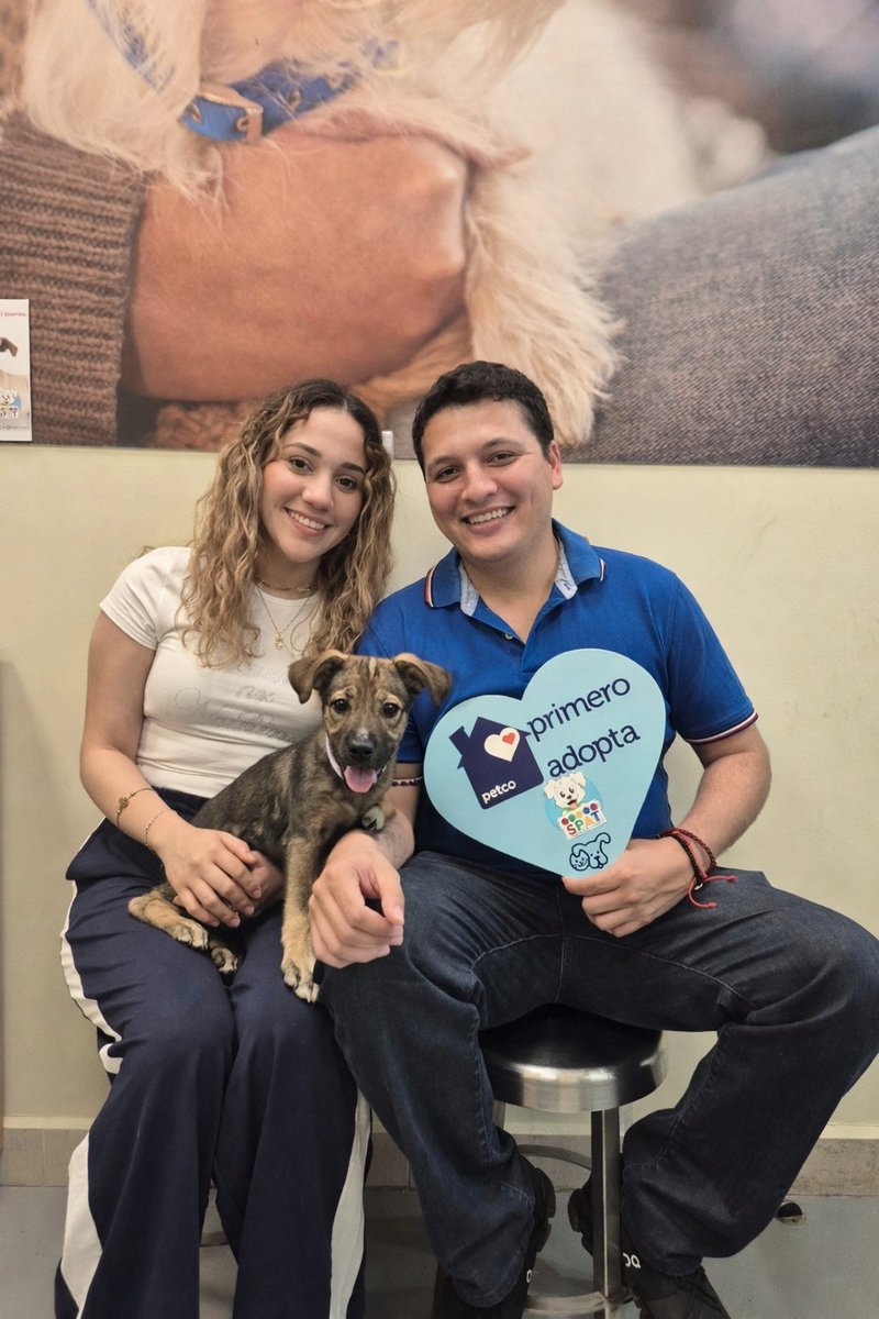 Sociedad Protectora Animal Tamaulipeca Ac tweet media