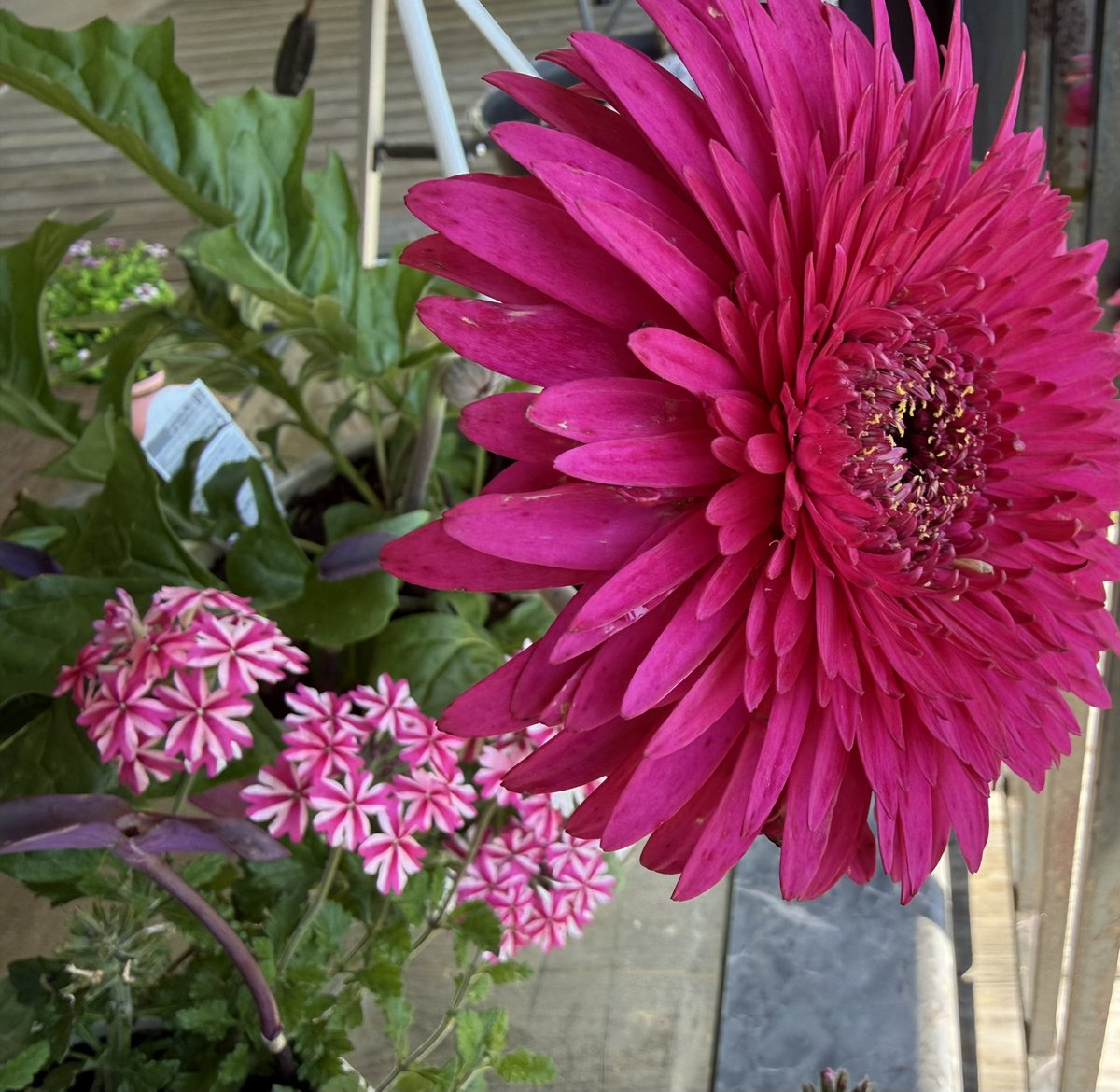 ryeisbread 🍞🏕️ tweet media