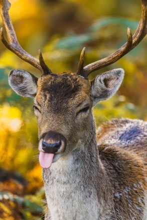 John fawn tweet media