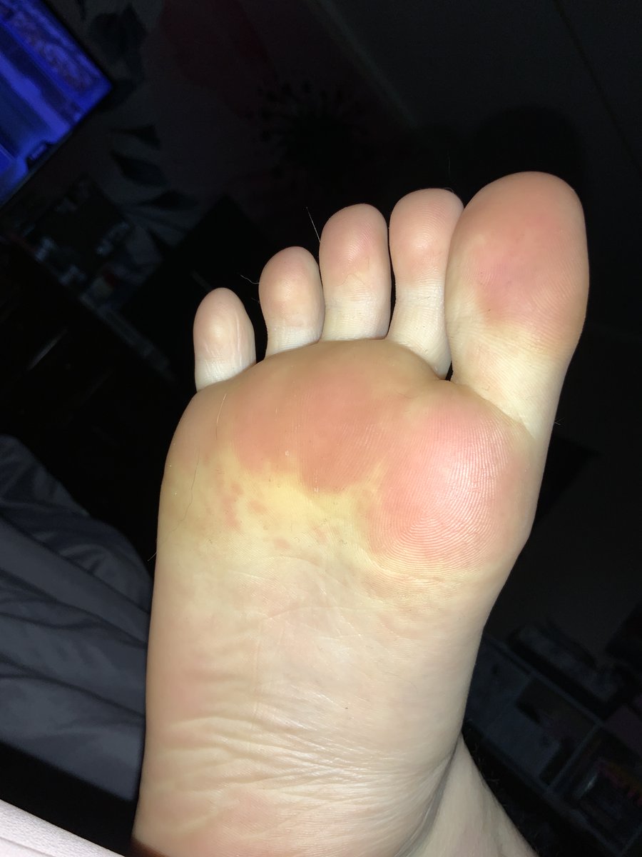 KhloeFindomXO's tweet photo. Eat up lI’ll piggsss 😏 its  feet  timeeeeee https://t.co/dPYtoK80G9