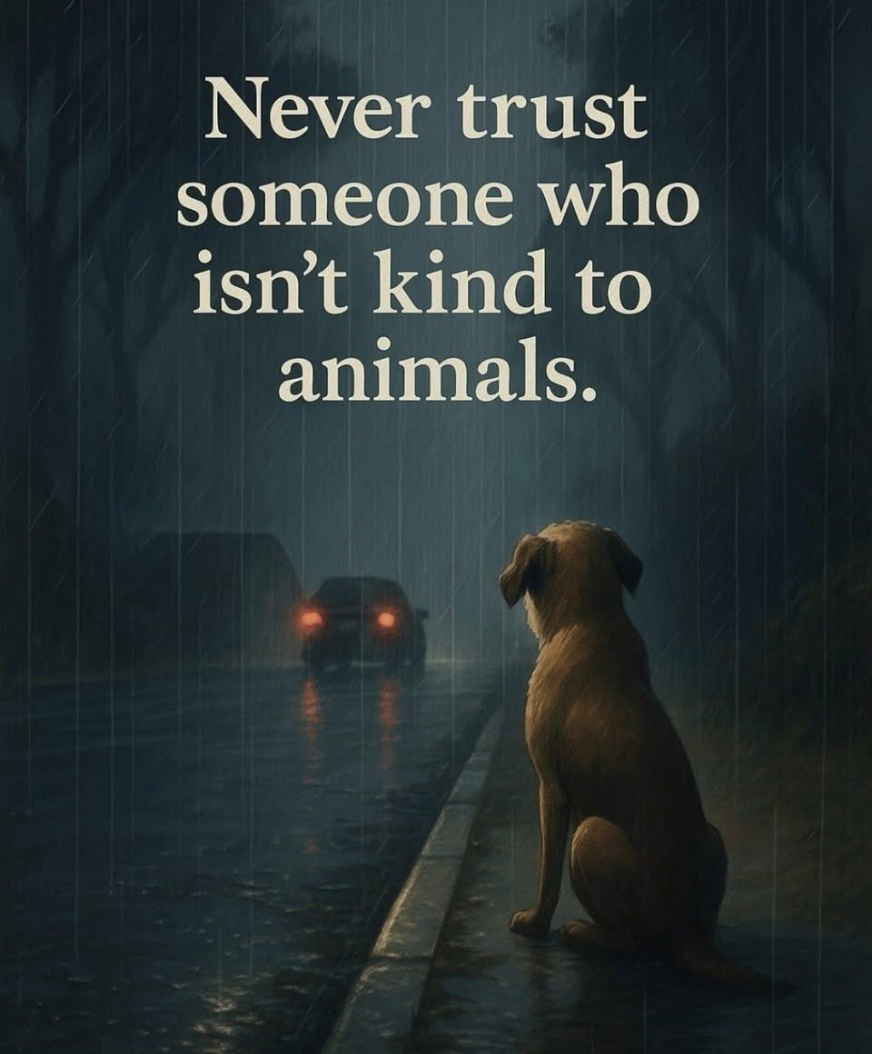 Frau von Flausch 6.0🫶🏻 tweet media