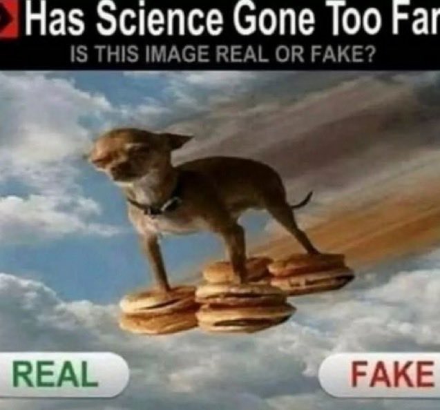 ♡Sýnva🦨 tweet media