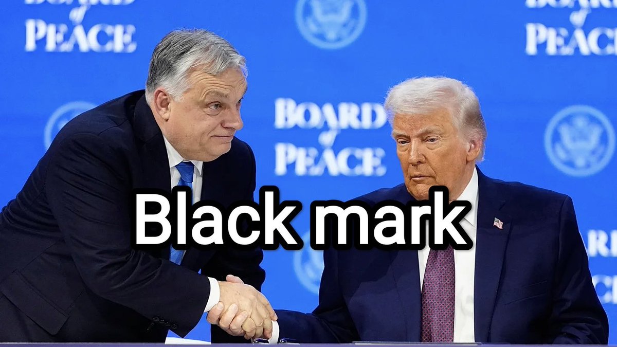 Plotnik Fil tweet media