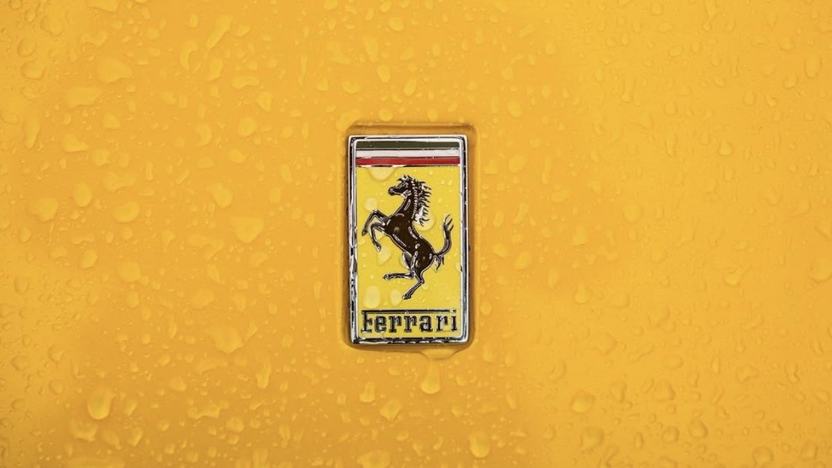 ๐ต๐๐๐๐๐๐ ๐ฟ๐๐๐ tweet media