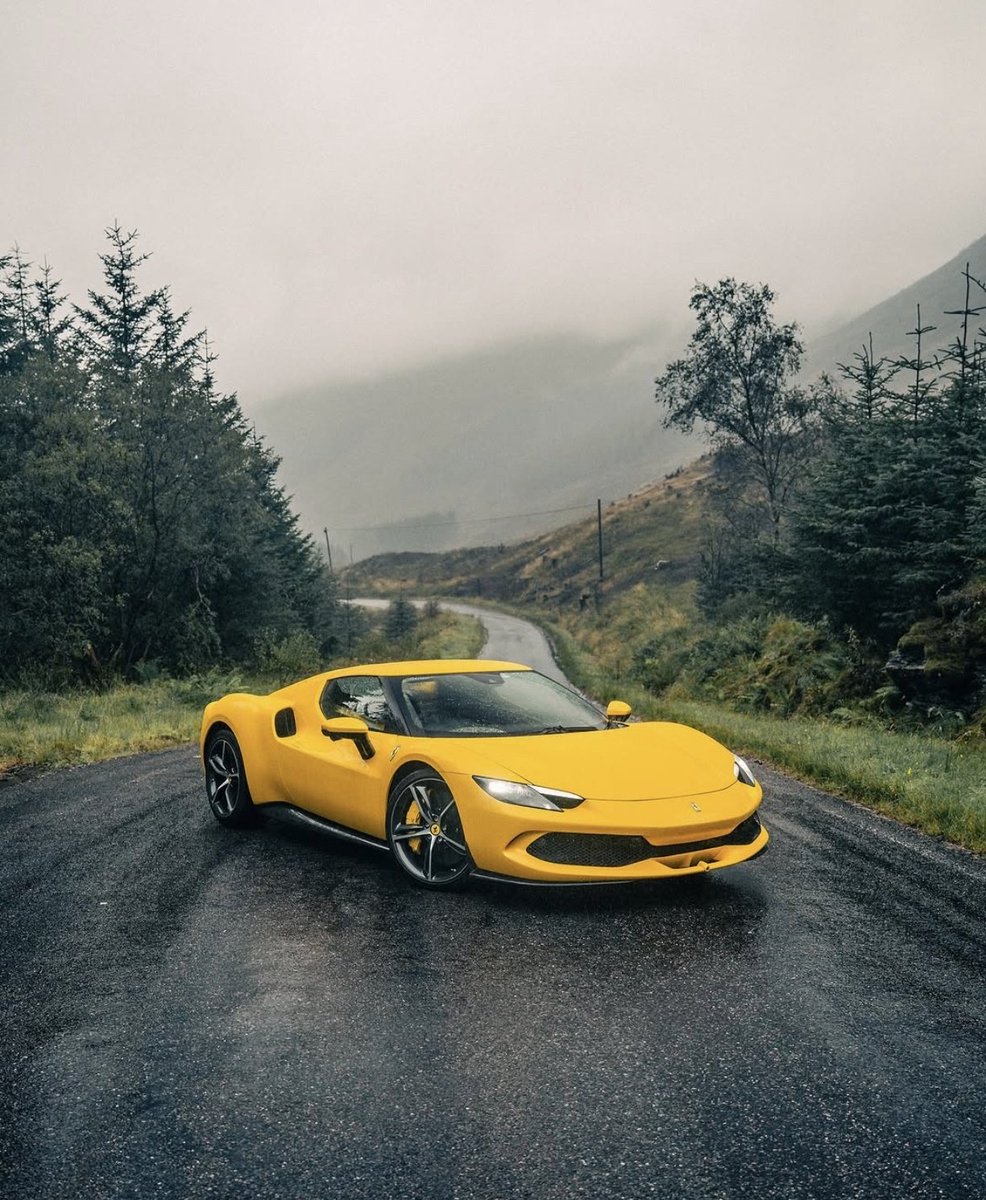 ๐ต๐๐๐๐๐๐ ๐ฟ๐๐๐ tweet media