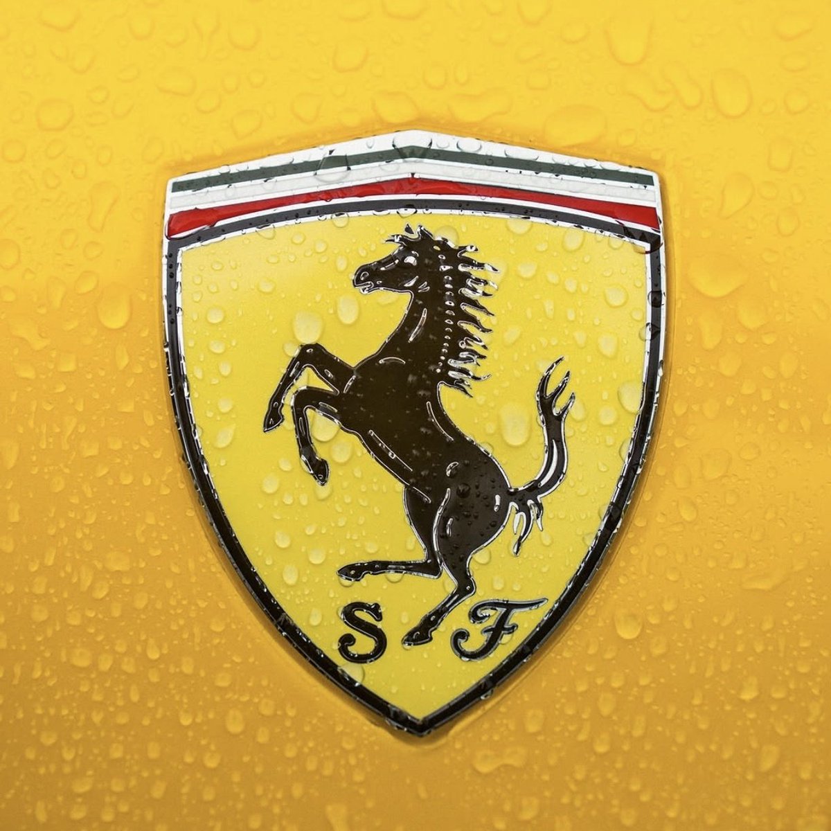 ๐ต๐๐๐๐๐๐ ๐ฟ๐๐๐ tweet media