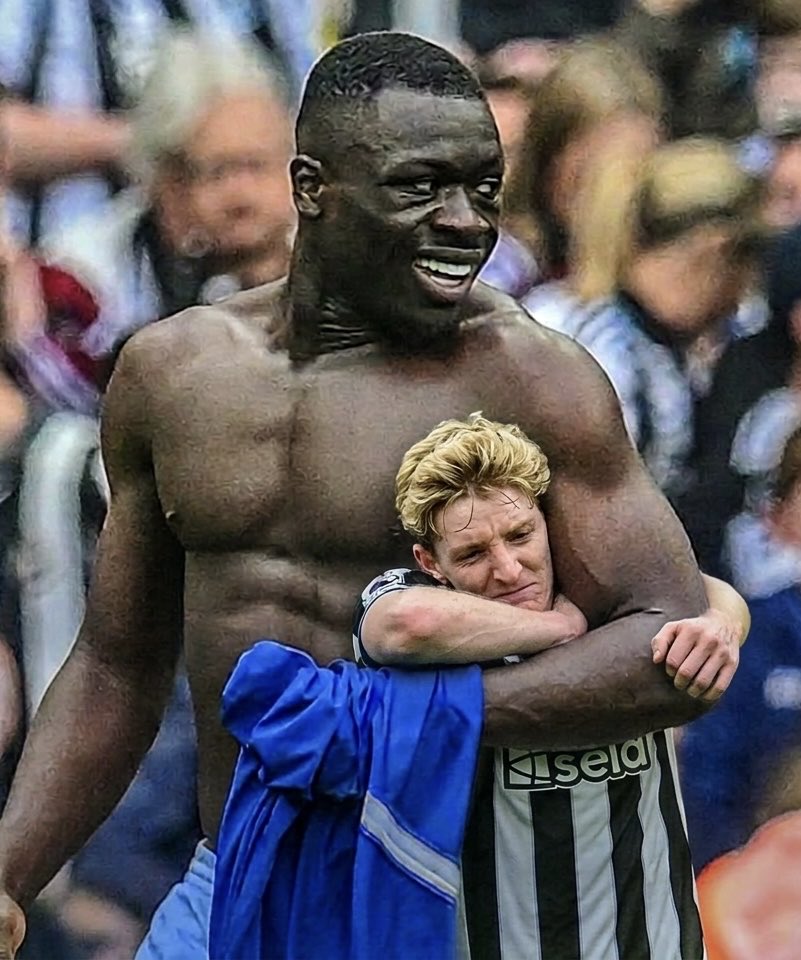 FPL Wolfy tweet media