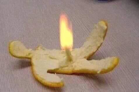 小農鮮乳 tweet media