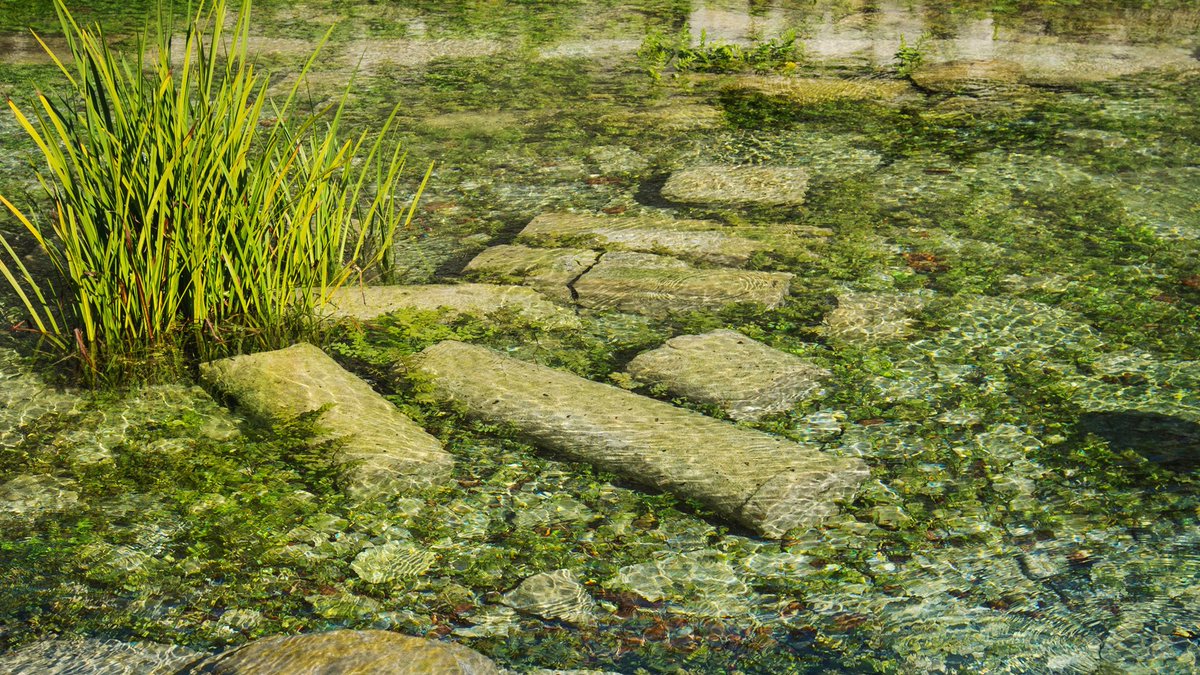 Turkish Museums tweet media