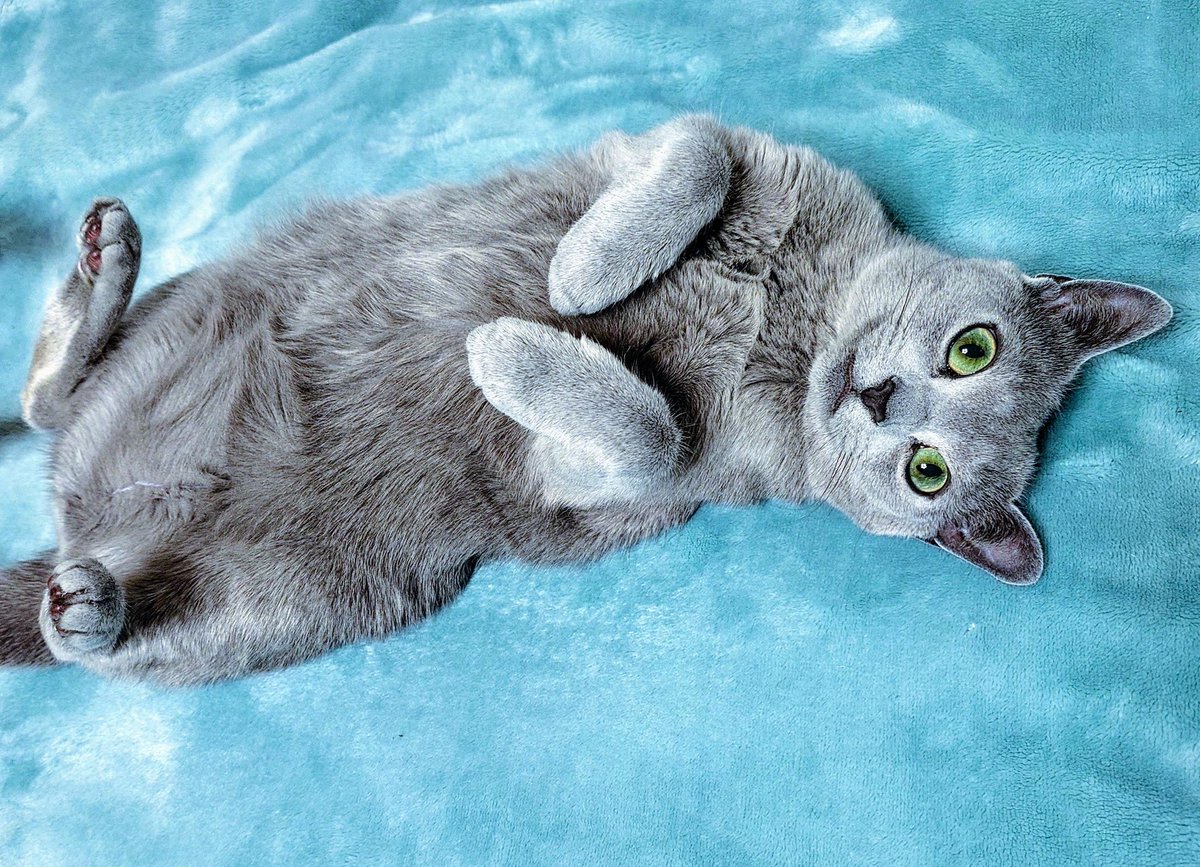 金丸淳一🌞VoiceActor&Vocalist Jun-ichi KANEMARU tweet media